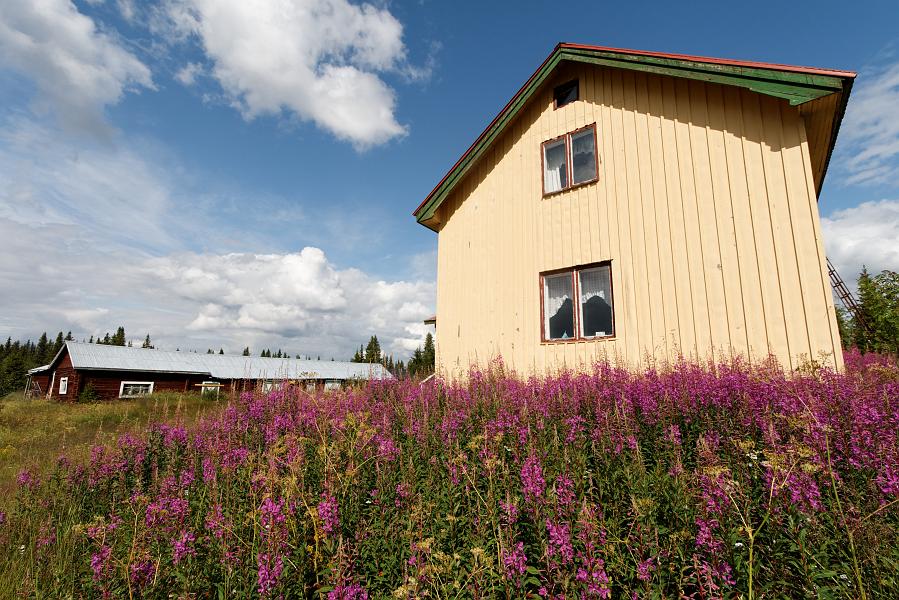 20090725_119_DxO_raw.jpg - Vi passerar Feekinpirtis som badar i rallarrosor