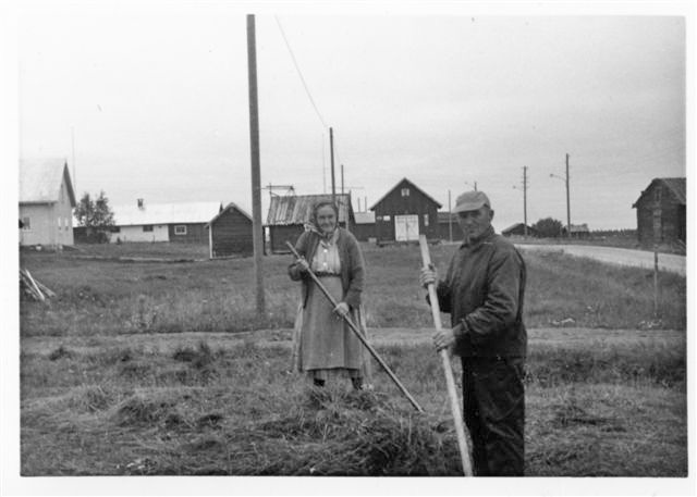10.jpg - Höbärgning Mari och Oskar Lantto (Göta Lantto)
