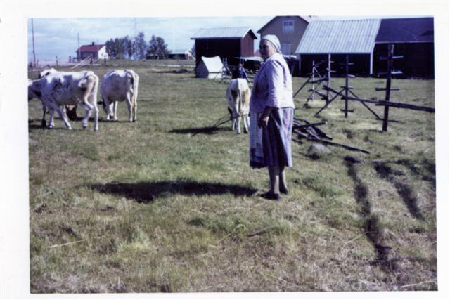 25.jpg - Maria Lantto sommaren 1963 (Göta Lantto)