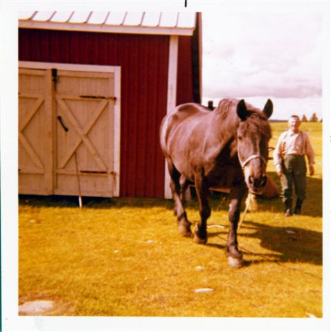31.jpg - Oskar Lantto 1970 (Göta Lantto)