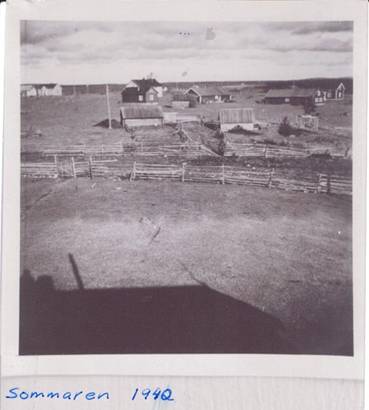 image008.jpg -  Här en bild sommaren 1942 taget av Erik från taket på hemgården Kajan Anttu. Fotolån John Ivar Andersson Byn var omgärdat med staket ända in i början 1950. Här ser man en bredare väg (takakuja) för kreatur och från denna bredare väg gick en smalare väg (kuja) till resp. sommarladugård. Allt omgärdat med staket. På det sättet höll man borta kreaturen från ängarna i byn. Längre bort till vänster var det en öppning i staketet mot skogen. Där gick korna ut till skogen under sommaren för att återkomma hem till kvällsmjölkningen. Närmast 2 sommarladugårdar, antagligen Oskar 1899-1988 och Viktor Lanttos. 1903-1979. Vita huset mitt på bilden är Oskar Lanttosmed uthusbyggnad och vinterladugård. Till höger Oskars bror Viktors bostad med sin vinterladugård som delvis har sitt timmer från brödernas hemställe Lantto närmare älven. Oskar och Viktor byggde sina hus omkring 1930. Vita huset längst vänster är Petter Olofs (Niemen Pekka) hus byggt slutet 1890-talet. 1942 var Niemen Pekka med hustru Ingrid döda. I huset bodde då deras son Helmer Kruuka, senare Polström, 1913-1973 med hustru Hanna Lantto 1918-1977. Även deras ladugård syns i bilden. Bakom Oskars hus byggdes ett bevakningstorn underandra världskriget. Syns lite bakom huset.