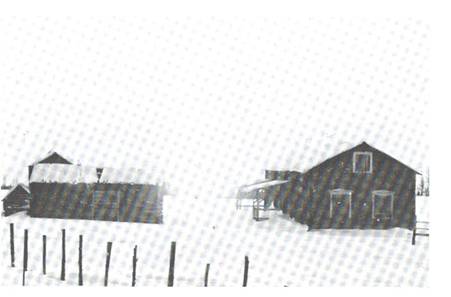 image099.jpg -  Rovagården. Ollas (Olof Henriksson på Ollagården) yngsta barn Henrik Olofsson (1829-1880) byggde första delen av Rovagården under 1850-talet. (delen längst bort) Möjligen var Henriks farbror Esaias kvarboende på Eskoplatsen, senare Heikkaplatsen, som ligger granne till Rovagården, Esaias ägde Eskohemmanet från 1924 och sålde 1849 till styvsonen Henrik vars mor Britas syster var gift med Olof på Ollagården. Rovahemmanet tillhörde Olof och som övertogs av sonen Henrik. Henrik gift 1854 med Margareta Johanna Andersdotter 1833-1903, en syster till Jakob se bild 95. Andra halvan av Rovagården byggdes av Henriks son Johan Henrik Henriksson (Rovan Poika) 1857-1927. Denna del, uusipää (nya delen) byggt omkring 1900. Rovan Poika var ogift. Här på Rovagården hade Rovan Poika lanthandel (byns enda vid den tiden) många år med varorna förvarade i olika aittor ex. jauhoaitta (mjölkstolpeboden). kaalaaitta (fiskstolpeboden) och den tredje kallades kaupa (affär) för förvaring av kaffe, socker och tyger. Dit kom bara Rova Poika själv) Varorna som förvarades där var ju eftersökta. Rovan Poika hade omkring 14 mjölkor, ungdjur, kalvar, får och två-tre hästar. Han anställde pigor och drängar. På Rovagården fick några fattighjon bo under perioder i den äldre delen. I Lainioboken finns ett längre avsnitt som Artur Elenius skrivit. Ett mindre hus syns till vänster. Huset var ett rökpörte för Henrik Olofssons farbror Mattias 1794-1870 och stod invid en sjö nära Ollagården (där Birger Ericsson har sommarhuset och där Birger grävde 2 småsjöar för att efterlikna lite sjön som var där förut) Rökpörtet byggt omkring 1820-talet. Långt senare flyttades den till Rovagården för att tjäna som vedbod. Lite av gaveln bortom vedboden syns mjölkstolpeboden och till vänster om det utedasset. Fotograf Sigurd Elenius, bild från Lainioboken.