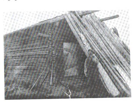image101.jpg -  Här står Johan Petter Olsson Särkimukka (Vaakina Pekka) 1849-1952 född i Särkimukka, Kangos. Han kom till Lainio slutet 1890-talet. Han står framför sitt egenhändiga byggda bostadshus norra delen av byn efter älven. Huset numera flyttat till Saangijoki och återuppsatt där nära ån. I Lainioboken har Carl Andersson och Artur Elenius skrivit om Vaakina Pekkas leverne. Hos honom fick man välja mellan kaffe och te kommer nedskrivaren ihåg. Bild från Lainioboken.