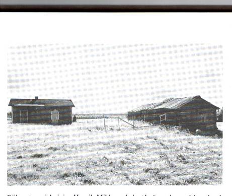 image114.jpg -  Bild från Lainioboken Henrik Mikko (Mikkon Heikki) 1863-193x byggde sin bostad under 1990-talet. Han var gift med Vilhelmina Johansdotter 1858-1909 från Erkkigården. Under 1890-talet byggdes flera bostadshus norra delen i byn. Granne med Henrik blev Anders Esko (Heikan Anttu) med hustru Maria Kajsa Kruuka och Erik Anders Mikko (Erkkinen) med hustru Sofia Bergström. Dessa byggde sina bostäder under 1890-talet. Under 1910-talet kom Anders bror Hans Petter Esko (Heikan Pekka) att bygga egen bostad längst norrut samt omkring 1900 bosatte Johan Petter Olsson Särkimukka (Vaakina Pekka) i eget hus nära där Heikan Pekka byggde senare. När Mikkon Heikki dött blev huset öde och blev förfallet mer och mer. Av nämnda hus finns bara Heikan Anttus hus kvar (2006).
