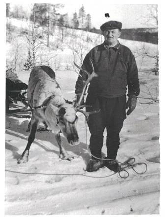 image151.jpg -  1950-talet. Flottningschefen i Lainio Hjalmar Pudas 1886-1970 med sin ren. Gift med Maria Pudas 1886-1970.