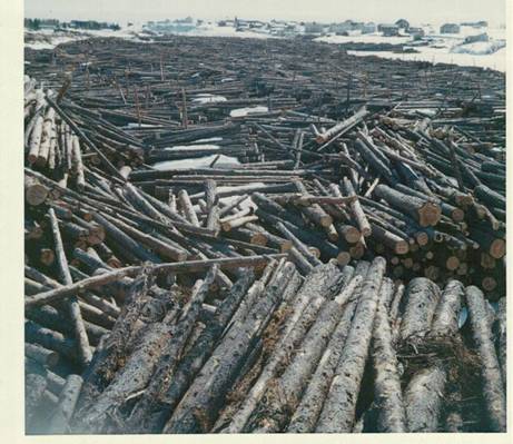 image160.jpg -  Foto Sigurd Elenius Ett år var Lainioälven genom byn full med timmer. Slutet 1960-talet. Bilden tagen från östra sidan älven mot centrala byn med klockstapeln.
