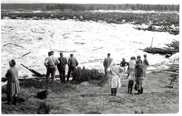 image161.jpg -  Foto Sigurd Elenius Den stora anhopningen av timmer i älven slutet 1960-talet skapade tillfällig stopp av vattnet i samband med islossning. Bild taget ungefär där nu samlingslokalen ligger.