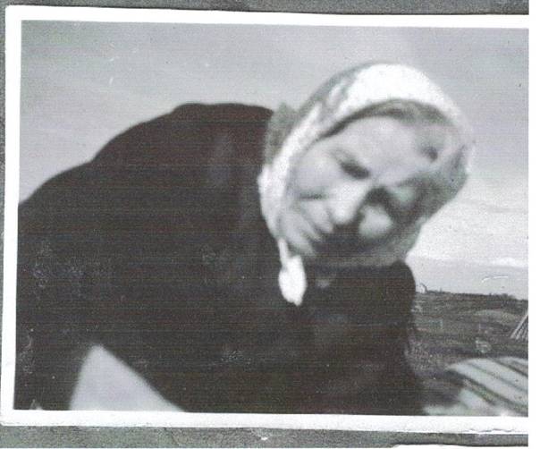 image205.jpg -  Bild från Dan Elenius bildsamlingar. Bild omkring 1942-43 Fotograf okänd möjligen Oskar eller Manfred Olla. Här halvligger Anna Stina f. Bergström 1862-09-04-1943-11-26 (81 år, 2 veckor och 22 dagar) på gräsmattan Ollagården. Till höger syns lite brädor. Antagligen hade Isak och Hulda Olla kommit igång med deras tillbyggnad. Anna Stina gifte sig 1885-04-23 med husbonden på Ollagården Erik Anders Johansson Olla (Ollan Erkki) 1849-06-24-1936-12-22. De fick 8 barn varav 3 dog som små. Anna Stina var född u. ä och dotter till Valborg Henriksdotter Skaulo 1834-1885. Valborg gifte sig 1863 med Anders Olsson Bergström f. 1819 i Masugnsbyn, 1828 till Merasjärvi. Död 1888 Anders far Olof Eriksson Bergström 1772-1857, född i Filipstad, bosatte sig i Masugnsbyn och gifte där 1802 med Magdalena Henriksdotter 1775-1860 från Masugnsbyn. Familjen 1828 till Merasjärvi. Magdalenas farfarsmor Ella Olofsdotter 1676-1764 kom från Lainio, dotter till Olof Clementsson vars far var Clement Olofsson, Lainios grundare. Olof Clementsson blev stamfar till Alapääsläktet.
