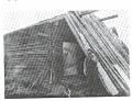 image101