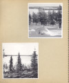 File written with CompuPic(R) - Photodex Corporation (http://www.photodex.com)