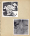 File written with CompuPic(R) - Photodex Corporation (http://www.photodex.com)