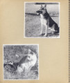 File written with CompuPic(R) - Photodex Corporation (http://www.photodex.com)