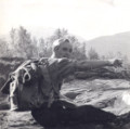 File written with CompuPic(R) - Photodex Corporation (http://www.photodex.com)
